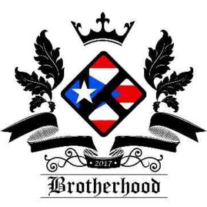 brotherhood reborn kodi addon
